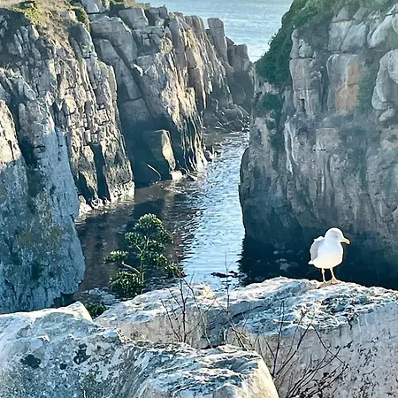 As Estrelas Hébergements Au Calme , Confort Climatisés Proches Centre Plages Et Spots De Surf Parking Free Hébergement de vacances